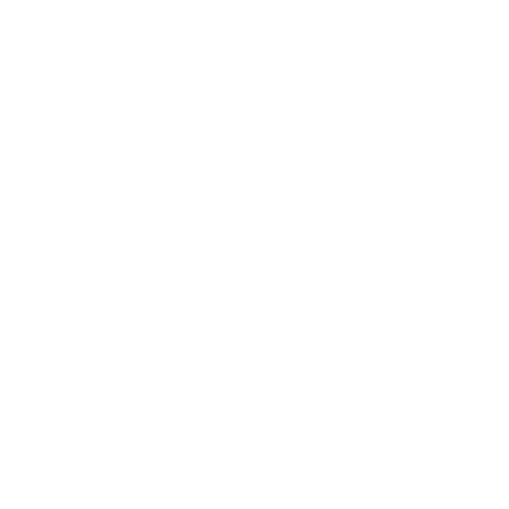 Logo de Escuela Amin Ariza — cliente de Muto Estudio Digital