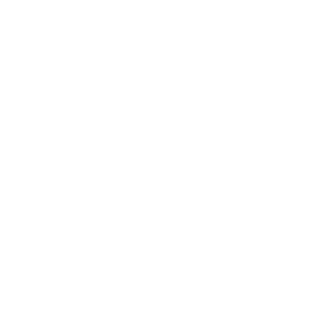 Logo de Air Florida Cargo — cliente de Muto Estudio Digital